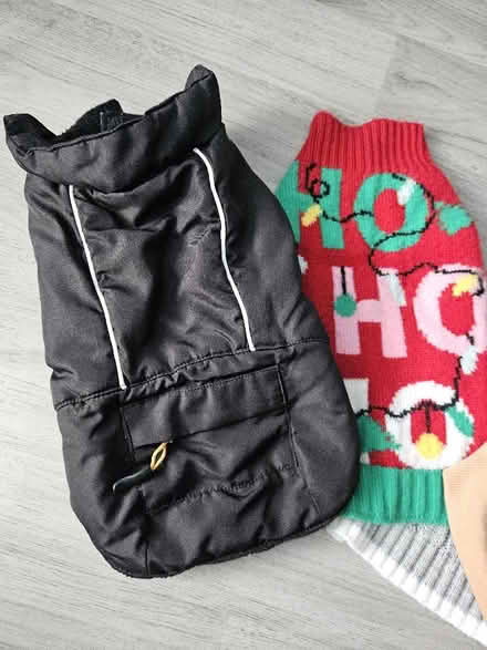 Photo of free XS Dog Jumpers and Coat (Bestwood Park Estate NG5) #2