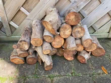 Photo of free Logs (Pennsylvania EX4) #1