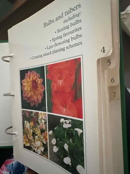 Photo of free Gardening made easy guides (Ashford TW15) #4