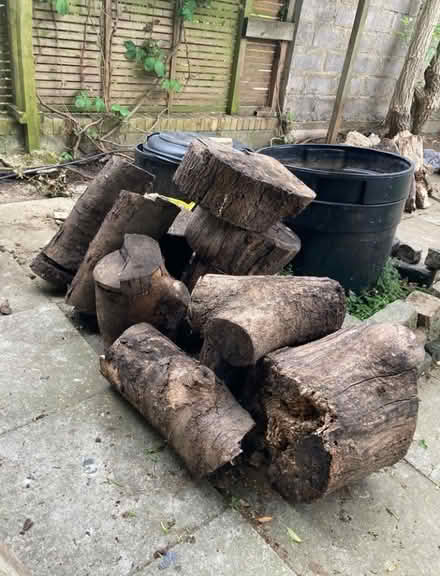 Photo of free Seasoned wood logs (Agar Grove NW1) #1