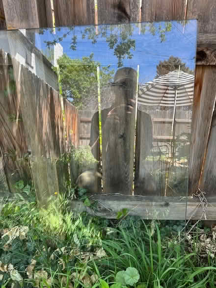 Photo of free Glass tabletop, 3’ x 6’ (Baker) #1