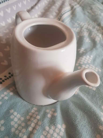 Photo of free Porcelain teapot (Staines-upon-Thames TW18) #3