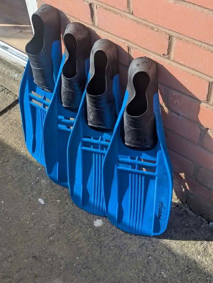 Photo of free Typhoon flippers Bayston Hill (Hook-a-Gate SY3) #1