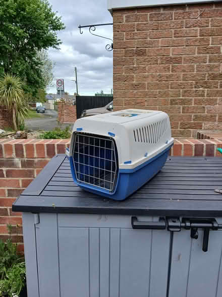 Photo of free Cat Carrier (Willington DL15) #1