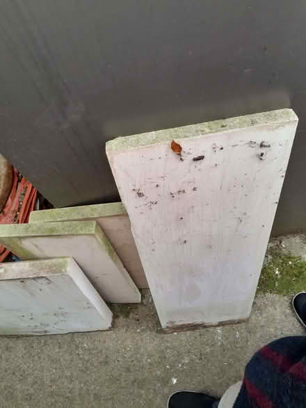 Photo of free stone off kuts (Wetherby LS22) #1