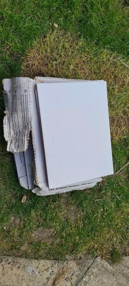 Photo of free White wall tiles (Binfield Heath RG9) #4