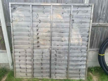 Photo of free Fence panels (Selsey PO20) #1