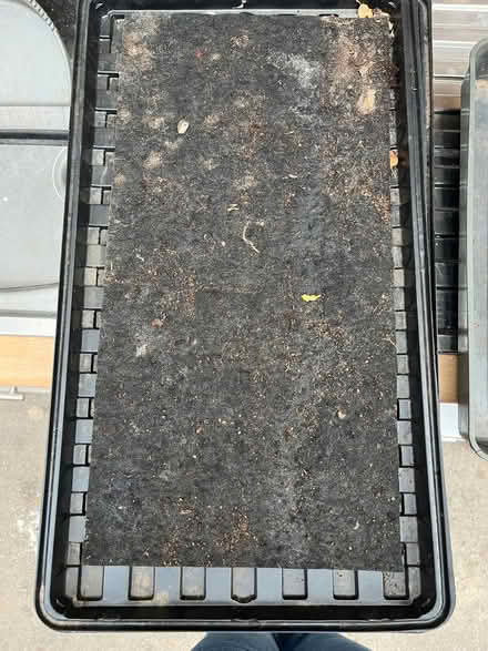 Photo of free Greenhouse trays and vegetable seeds (Cubbington CV32) #2