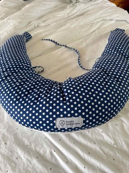 Photo of free Pregnancy pillow (Stubbington PO14) #1