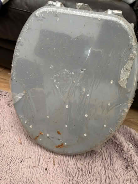 Photo of free Toilet seat (Reading RG2) #2