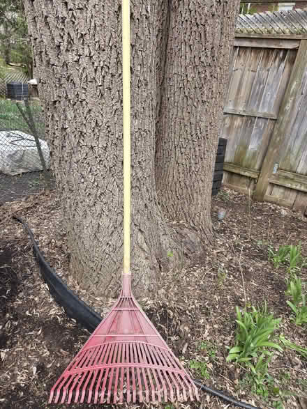 Photo of free Lawn rake (Wellington village) #1