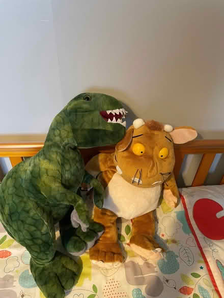 Photo of free Teddies in vgc (Thringstone LE67) #1