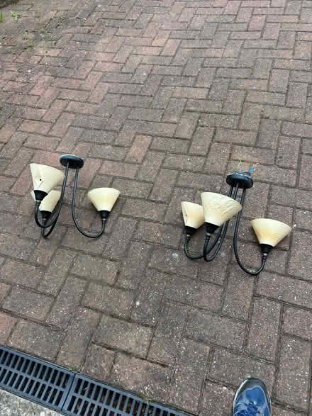 Photo of free Living room lights (Rishworth HX6) #1