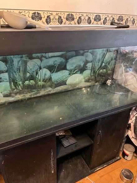 Photo of free 4foot fish tank (Long ditton) #2