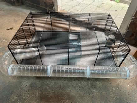 Photo of free Hamster kit (Mountsorrel) #3