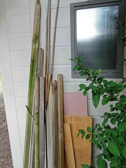 Photo of free Assorted wood (Preston PR2) #1