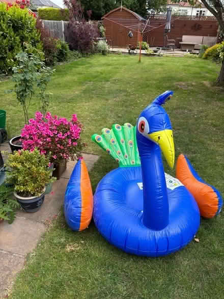 Photo of free Inflatable peacock (Bexleyheath DA7) #1