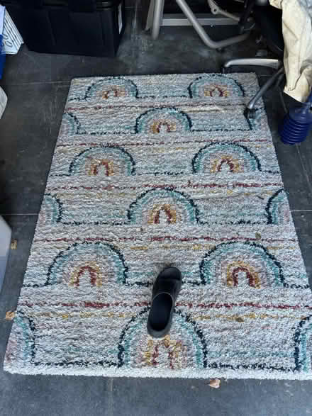Photo of free Snall area rug (Alameda) #1