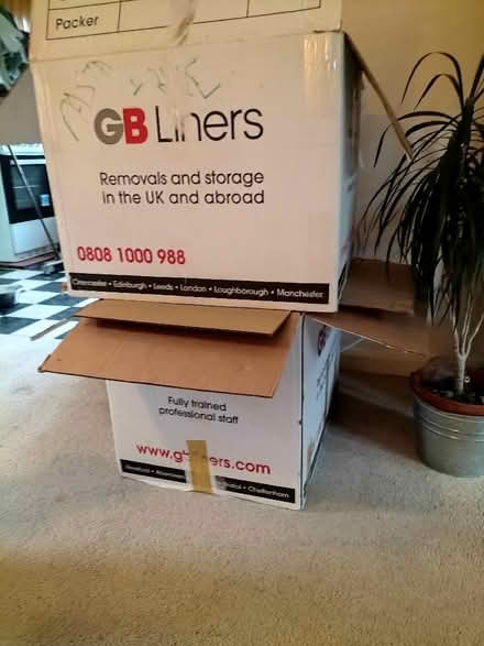 Photo of free Moving Boxes (Blackboys TN22) #2