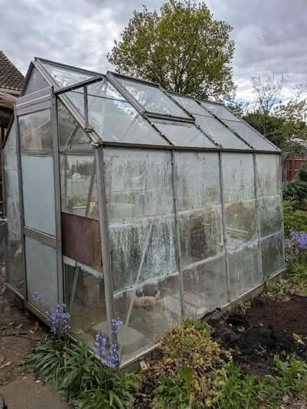 Photo of free Greenhouse and cold frames (Bures Hamlet CO8) #1