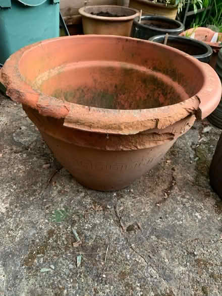 Photo of free Terracotta pots (Claygate KT10) #2