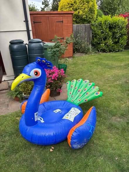 Photo of free Inflatable peacock (Bexleyheath DA7) #2