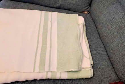 Photo of free Blanket ( poss dogs) RG26 (Bramley, Hants RG26) #1