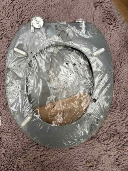 Photo of free Toilet seat (Reading RG2) #1