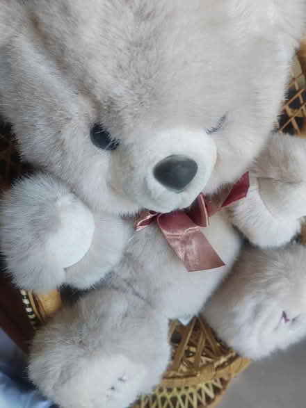 Photo of free Job lot cuddly toys (Whittlesey) #4