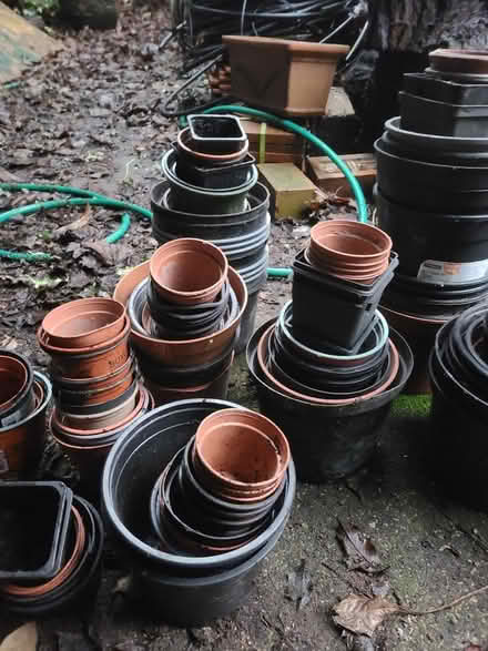 Photo of free Plastic Plant Pots (Prestwich M25) #3