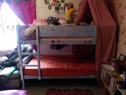 Photo of free Solid wood bunk beds (Belle Vue Shrewsbury SY3 7NF) #2
