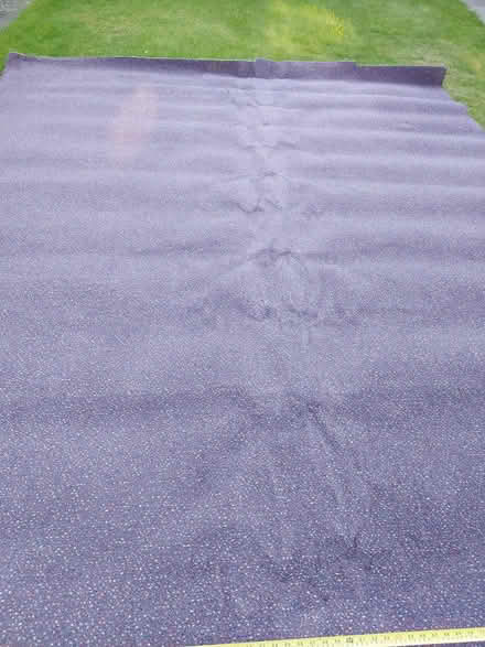 Photo of free Carpet good condition (Poulton le Fylde FY6) #2