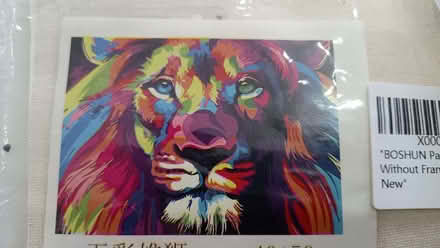 Photo of free Lion painting by numbers canvas set (Stanford in the Vale SN7) #1