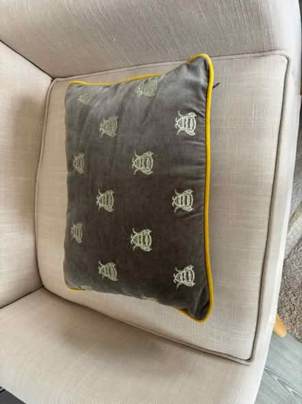 Photo of free Cushion for bee lovers (Horsham RH12 1) #2