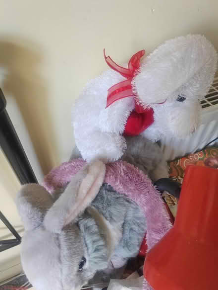 Photo of free Job lot cuddly toys (Whittlesey) #2