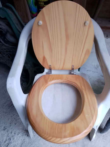 Photo of free Toilet seat - solid pine, nearly new (Bucknell SY7) #2
