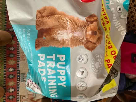Photo of free Puppy training pads (Greengates Bradford BD10) #1