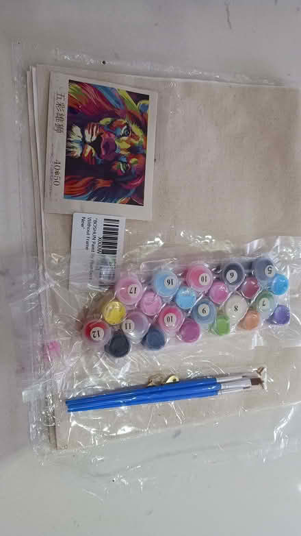 Photo of free Lion painting by numbers canvas set (Stanford in the Vale SN7) #3