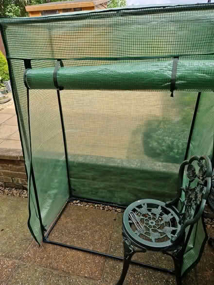Photo of free Tomato greenhouse (Baldock, Clothall Common SG7) #2