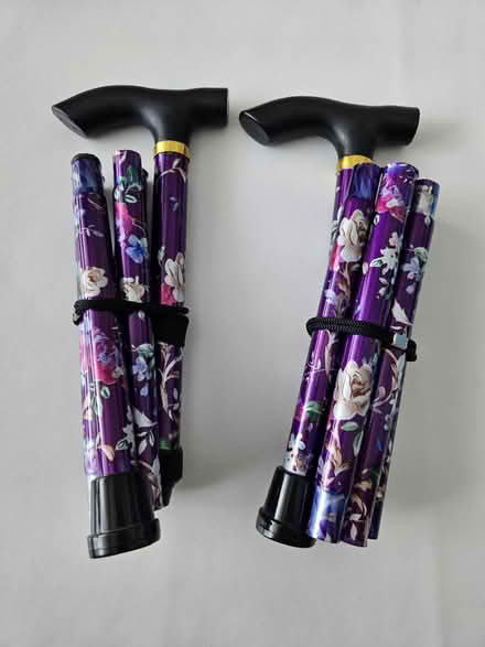 Photo of free Pair of walking sticks (EX8) #1