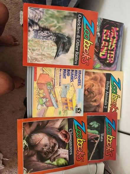 Photo of free Random books and zoobook mags (Severn) #2
