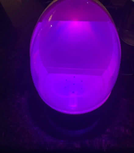Photo of free USB powered terrarium (Eastlake) #4