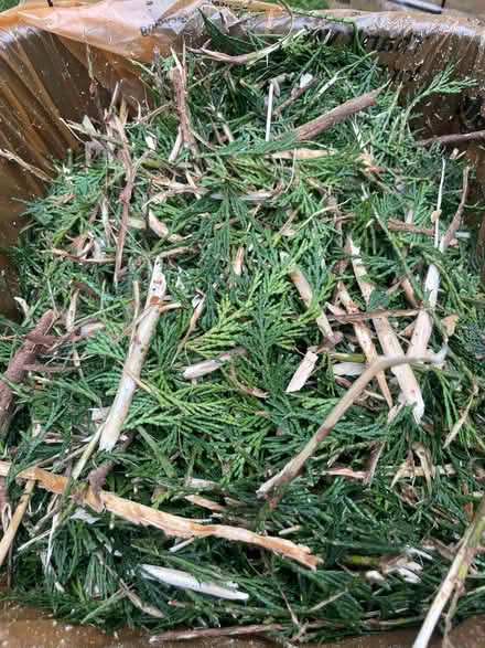 Photo of free Fresh mulch/woodchip (Thurmaston) #1