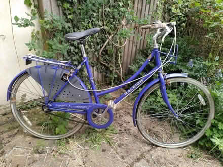 Photo of free Women's bike - raleigh (West Oxfordshire OX28) #1