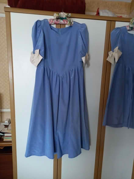 Photo of free BRIDESMAID dresses (Twyford RG10) #1