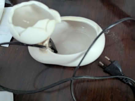 Photo of free Pet water fantan (PO4) #1