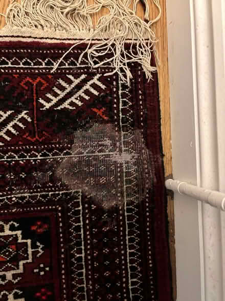 Photo of free Hall Persian Rug (Reading RG2) #2
