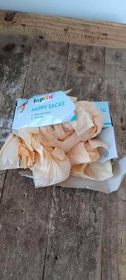 Photo of free Pupils nappy sacks (Rakegate Estate WV10) #1