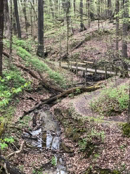 Photo of hiking boots (Chicago, southeast side) #1