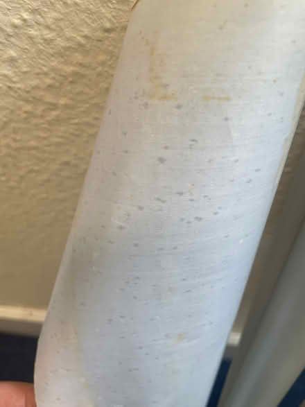 Photo of free Rolls of Plastic Wrap (Islington N1) #2